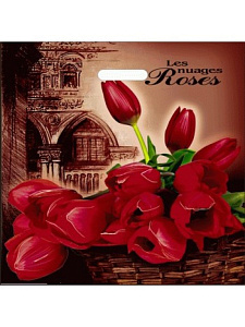 пакет 44*44 голландия, прорубной фото