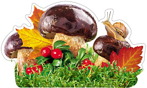 мини-плакат фигурный улитка на грибе 200*200 10-10.02-0024 /miland