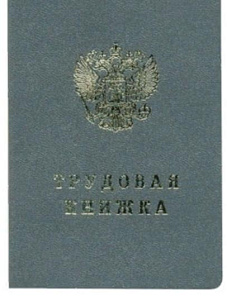 бланк "книжка трудовая"   бт-12н 