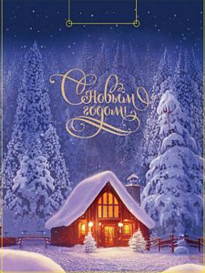 нг пакет бумажный 32,4*44,5*10,2 зимний свет, ламинированный, пкп-6702 /miland