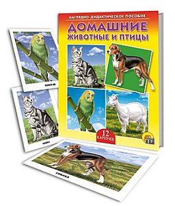 дидактич.пособие  365 заданий. чистописание, 978-5-00134-633-3 /malamalama