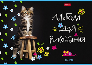 альбом 32л для рисования на скобе /hatber мурчат коты 32а4в 074717 изображение альбом 32л для рисования на скобе /hatber мурчат коты 32а4в 074717